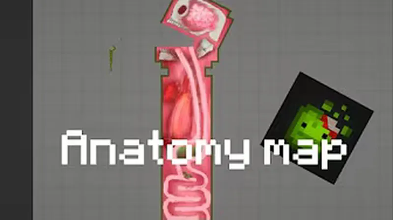 Anatomy map 1