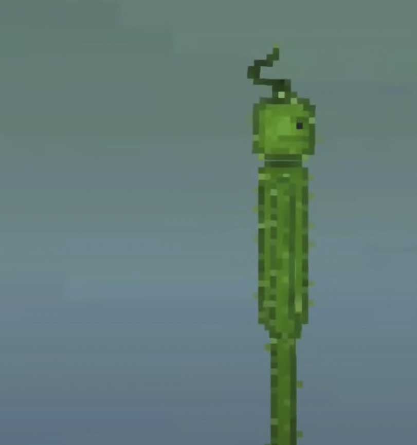 CRAZY CUCUMBER 1
