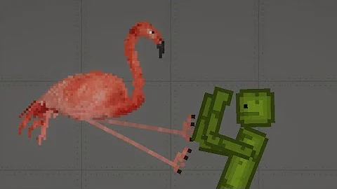 Flamingo 1