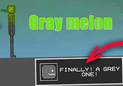 Gray melon 1