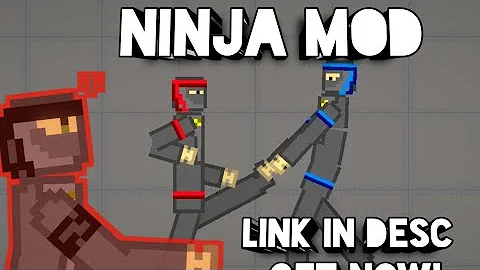 ninja 1