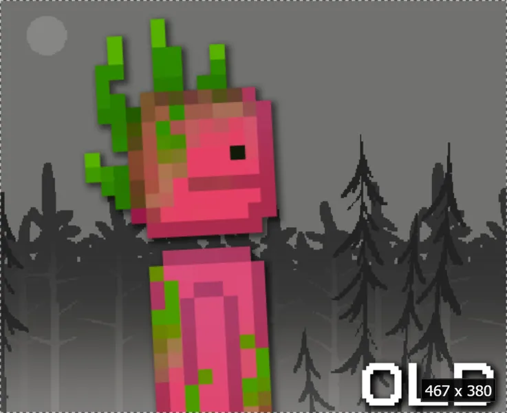old dragon fruit 1